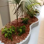 Vamos Tenerife - Playa La Arena - Appartement Puerto de Santiago (Tenerife)