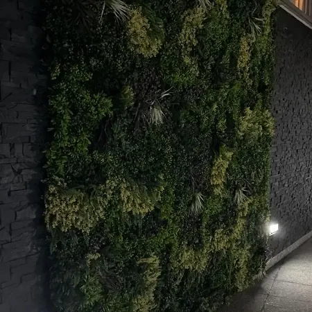 Vamos Tenerife - Playa La Arena -