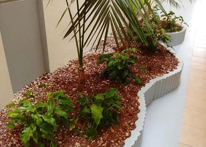 Vamos Tenerife - Playa La Arena - Lägenhet Puerto de Santiago (Tenerife)